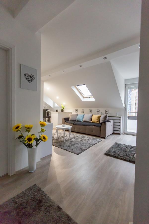 Stan Na Dan Angel Apartment Novi Sad Luaran gambar